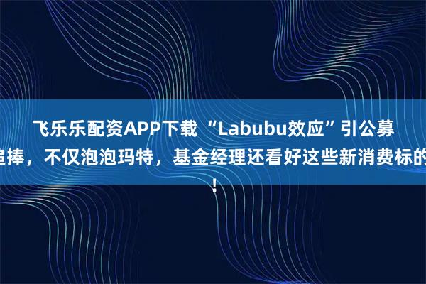 飞乐乐配资APP下载 “Labubu效应”引公募追捧，不仅泡泡玛特，基金经理还看好这些新消费标的！