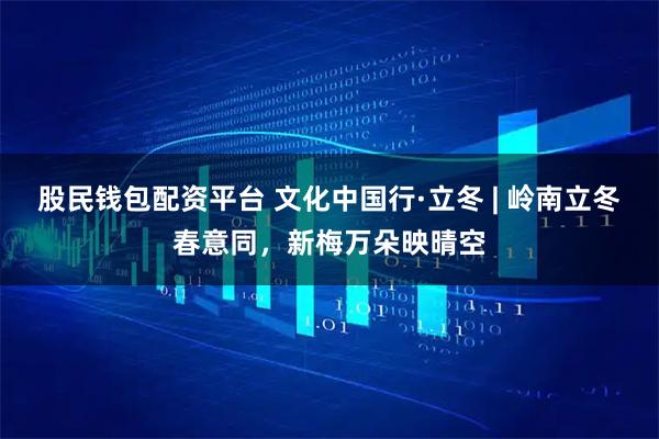 股民钱包配资平台 文化中国行·立冬 | 岭南立冬春意同，新梅万朵映晴空
