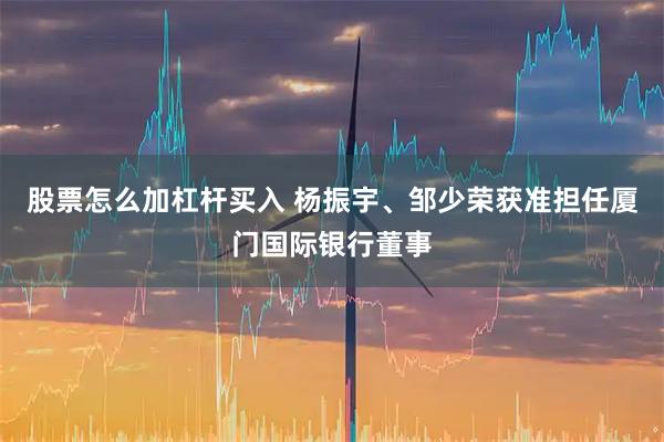 股票怎么加杠杆买入 杨振宇、邹少荣获准担任厦门国际银行董事